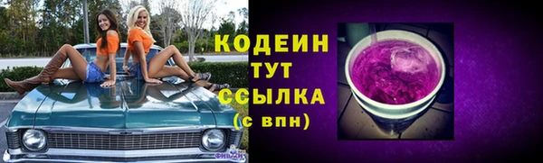 mdpv Богородицк