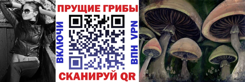 Псилоцибиновые грибы Magic Shrooms  что такое наркотик  omg ONION  Волгореченск 